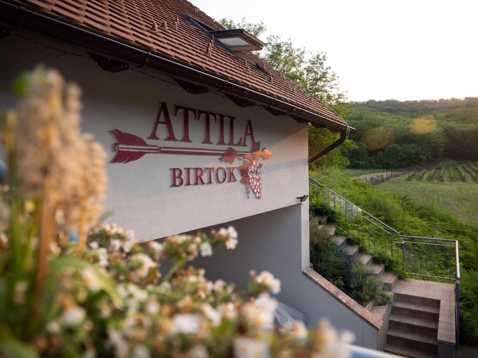 Attila Birtok