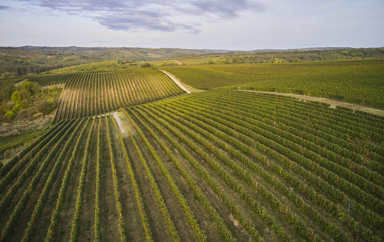 DJI_0735.jpg