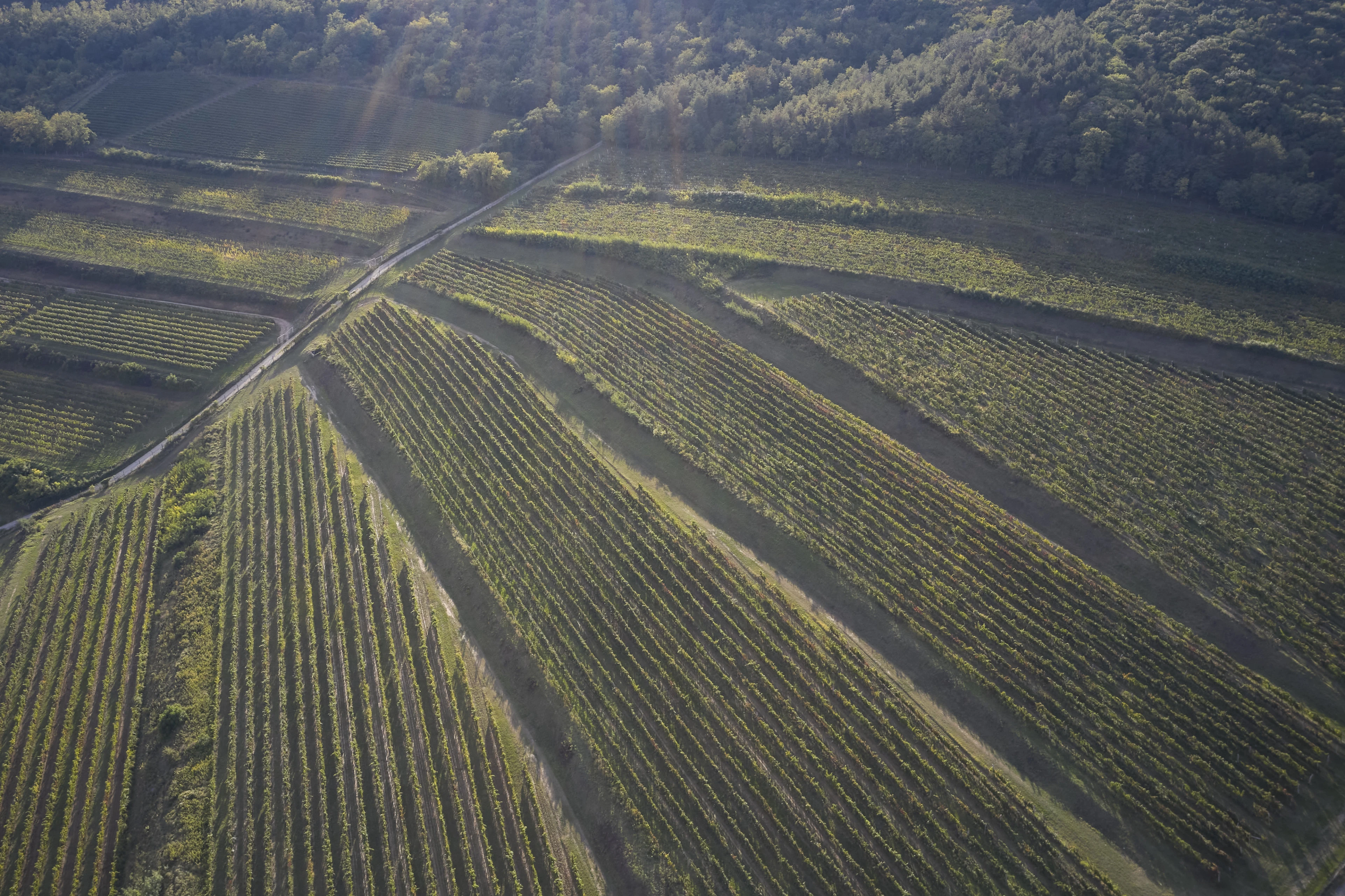 DJI_0786.jpg